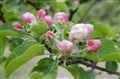 DSC00278K.JPG