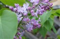 DSC00291K.JPG