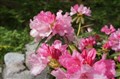 DSC00315K.JPG