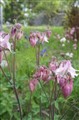 DSC00322K.JPG