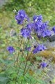 DSC00355K.JPG