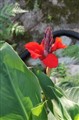 DSC00534K.JPG