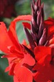 DSC00663K.JPG